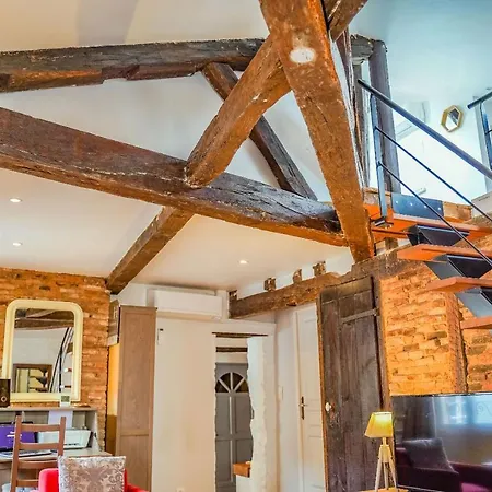 Appartement Alcove & Chocolat - Hypercentre D'Albi Albi