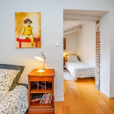 Appartement Alcove & Chocolat - Hypercentre D'Albi * Albi
